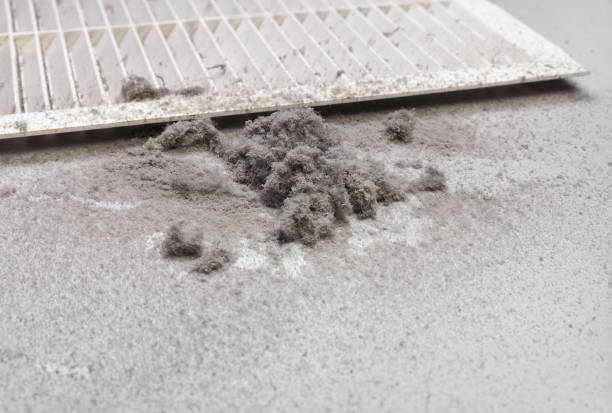 Best Local Air Duct Cleaning Services  in Muncy, PA