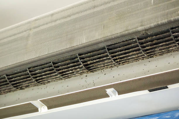 Best Residential Air Duct Cleaning  in Muncy, PA