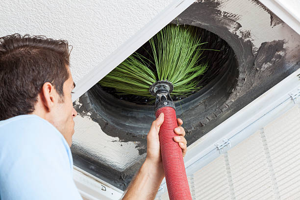 Best HVAC Air Duct Cleaning  in Muncy, PA